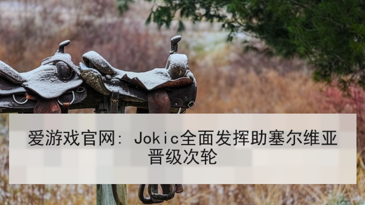 爱游戏官网: Jokic全面发挥助塞尔维亚晋级次轮