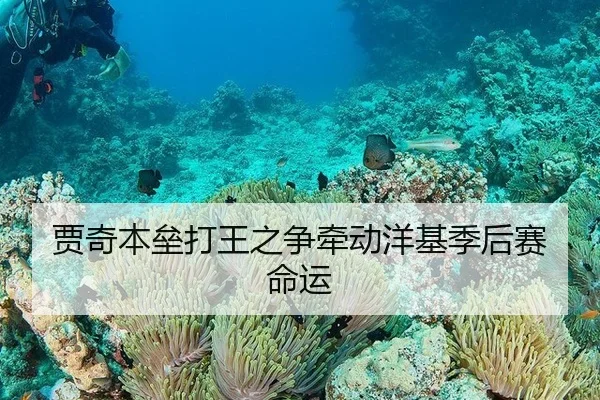 jia-qi-ben-lei-da-wang-zhi-zheng-qian-dong-yang-ji-ji-hou-sai-ming-yun-2-503.jpg